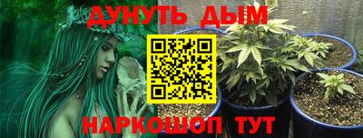 тгк Ачхой-Мартан