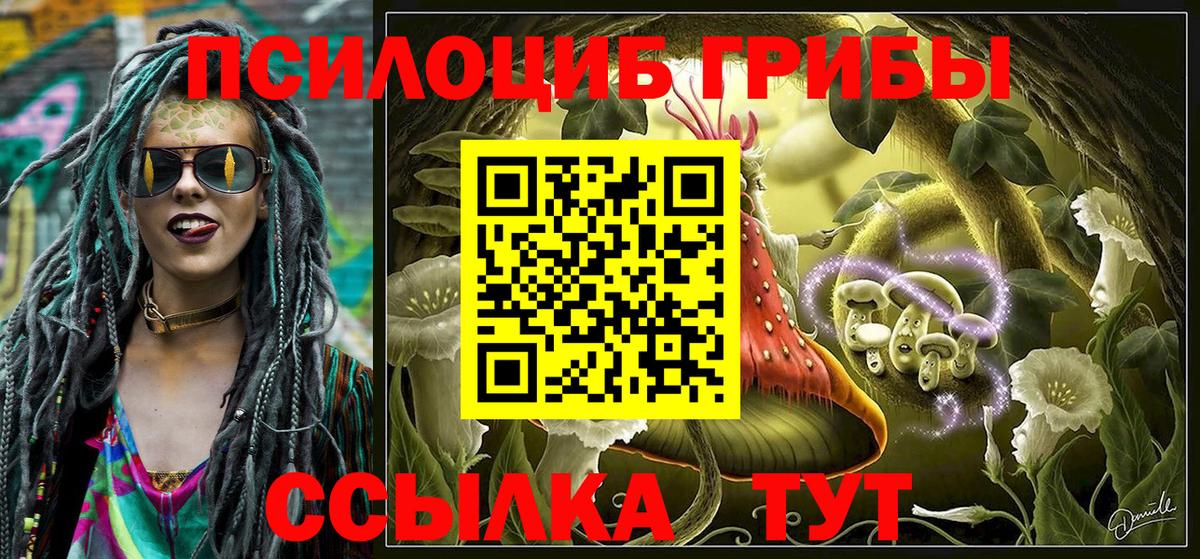 Галлюциногенные грибы прущие грибы  Вход с VPN  Псилоцибиновые грибы Psilocybine cubensis  Елабуга 